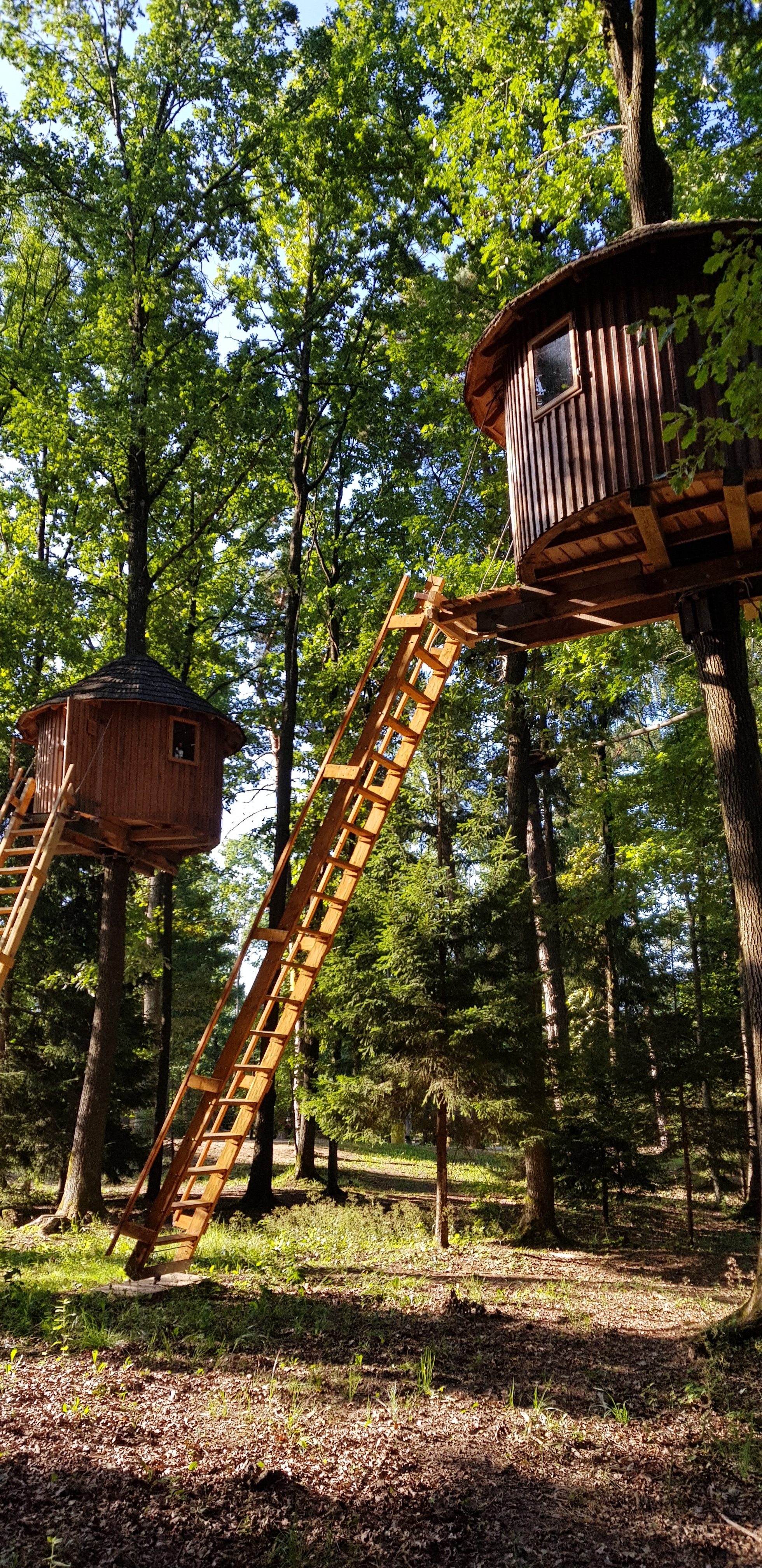 platform scan Variant Neįprasta nakvynė namelyje medyje 8 metrų aukštyje – Pirmi kartai